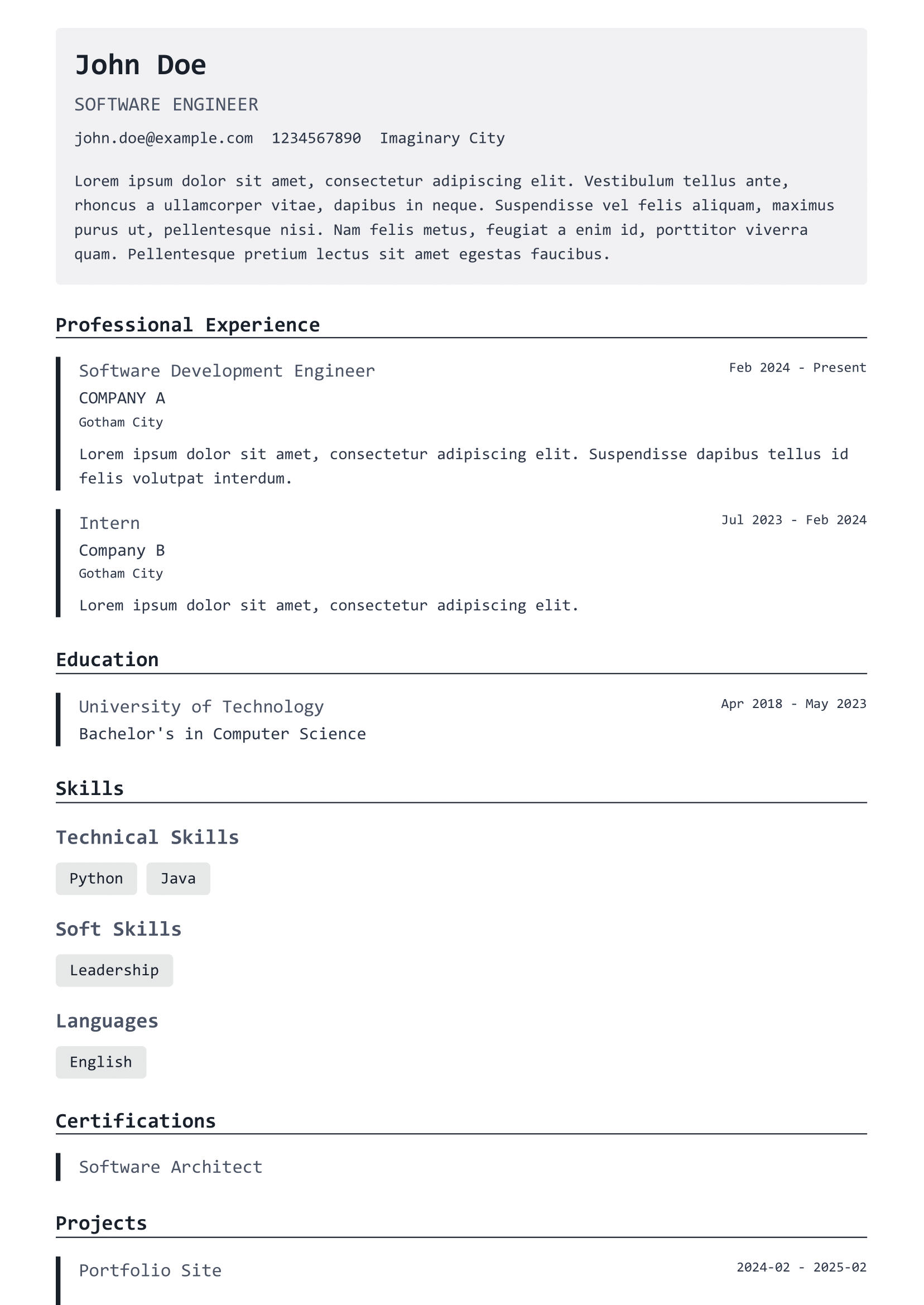 Developer Resume preview